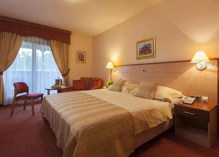 Terme Banovci - Zeleni Gaj 3* Veržej